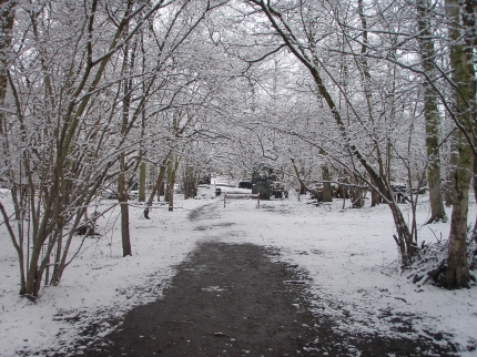 A Winters Day.JPG