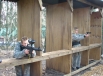 Shooting Range (2).JPG