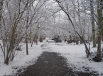 A Winters Day.JPG